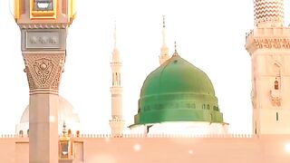 اجمل  رضا قادری