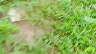 Jalan jalan pagi di kampung