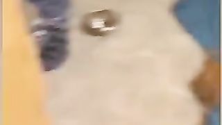 Funny_Animal_Videos_Of_The_Day_008!_????????_#fyp__#memes_#memedaily_#dankmemes(360p).