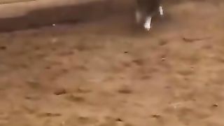 Funny_Animal_Videos_Of_The_Day_0010!_????????_#fyp__#memes_#memedaily_#dankmemes(360p).