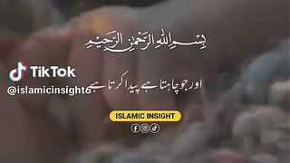Quran recitation 26
