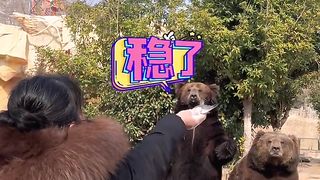 Funny video
