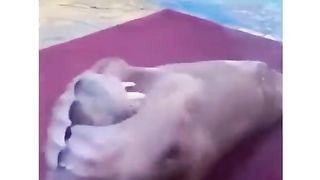 Когда животные спортивнее чем ты