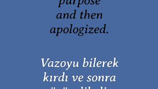 Learn English to Turkish Adverbs 22