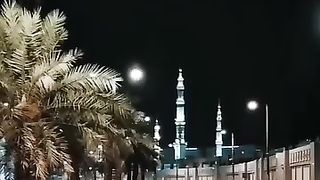 The lights