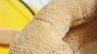 Teddy bear Funny cartoon