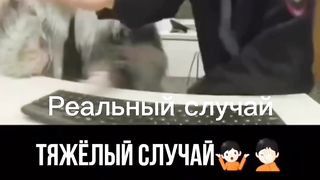 Вот как на сдавать экзамен