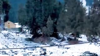 Naltar Valley Winter