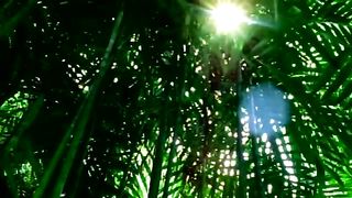 Jennifer_Lopez_-_Waiting_For_Tonight(360p).