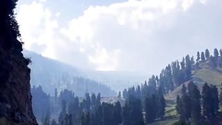 Naran Valley Summer Vibes