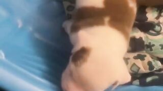 how to care