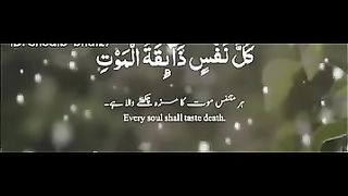 tilawat e quran pak best voice