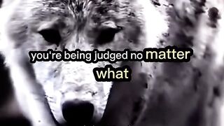 Motivation video 40