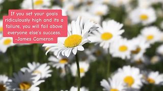 Set you goals