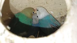 Very very nice ll good looking pair