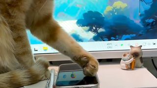 Funny actions 119