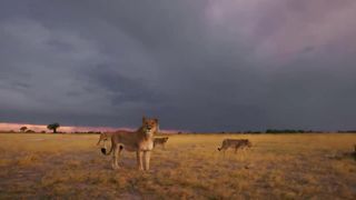 National Geographic 2