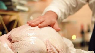 Turkey 7