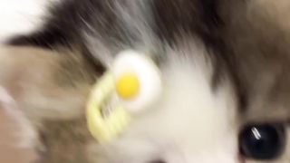Funny actions 120