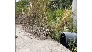 Try to Not Laugh