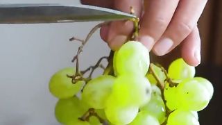 Grape Sorbet with Just 3 ingredients!! | Wild Cookbook