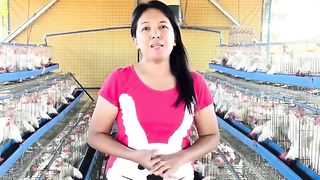 Magkano nga ba talaga ang puhunan sa RTL business at anu ang mga gastos na dapat mong paghandaan