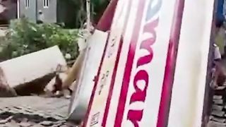 viral tanah bergerak hebohkan warga