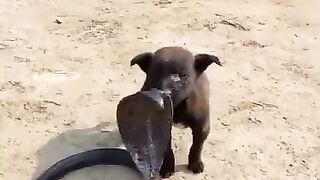 Funny???????????????? 9