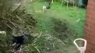 Funny_Animal_Videos_Of_The_Day_0017!_????????_#fyp_#memes_#memedaily_#dankmemes(360p).