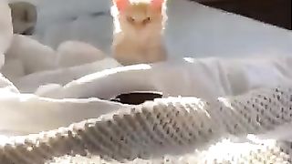 Funny_Animal_Videos_Of_The_Day_0020!_????????_#fyp_#memes_#memedaily_#dankmemes(360p).