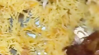 Biryani ll beautiful chicken