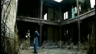 Snake and Crane Arts of Shaolin (She he ba bu) (1978)