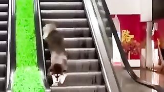 Funny_Animal_Videos_Of_The_Day_0047!_????????_#fyp_#memes_#memedaily_#dankmemes(360p).