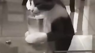 Funny_Animal_Videos_Of_The_Day_0053!_????????_#fyp_#memes_#memedaily_#dankmemes(360p).