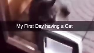 Funny_Animal_Videos_Of_The_Day_0059!_????????_#fyp_#memes_#memedaily_#dankmemes(360p).