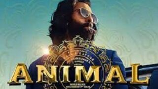 animal song _ animal status song _ abrar entry song _ ranbir kapoor entry song in animal _ #animal.