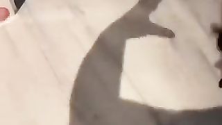 Funny_Animal_Videos_Of_The_Day_0061!_????????_#fyp_#memes_#memedaily_#dankmemes(360p).