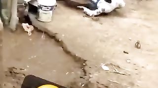 Funny_Animal_Videos_Of_The_Day_0062!_????????_#fyp_#memes_#memedaily_#dankmemes(360p).