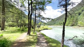 scenery 7
