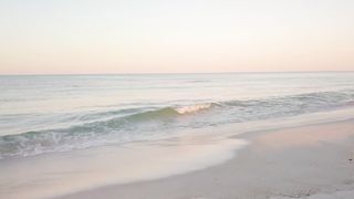 "Natural Serenity: A Visual Symphony Celebrating the Wild Beauty of Our Planet"