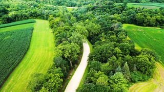 "Whispers of the Wilderness: Embracing the Untamed Beauty of Mother Earth"