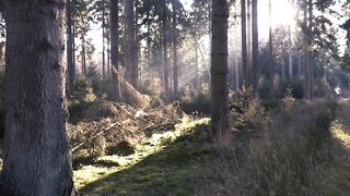 "Enchanting Earth: A Cinematic Journey Through Nature's Wonders" 2