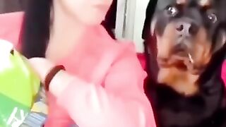 Funny_Animal_Videos_Of_The_Day_0076!_???????? (360p).