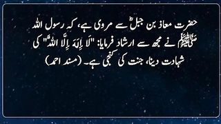 Razzaq5 -Inshallah Wo Mahfouz Rahe Ga_ Hadith _ Hadees e nabvi saw _. plz subscribe and watch my video