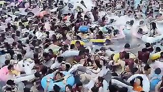 Video 453