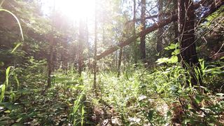 "Earth's Tapestry: Unveiling the Unseen Beauty of Natural Wonders"