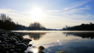 "Beyond Boundaries: Revelations of Nature's Timeless Elegance"