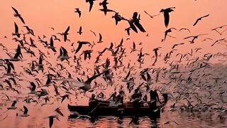 تیری نظر کی وسعتوں میں کھویا ہوا شخص اپنی بصارت کھو بیٹھا ہے