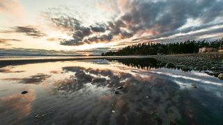 "Nature's Tapestry: Unraveling the Spellbinding Charm of the Untamed"