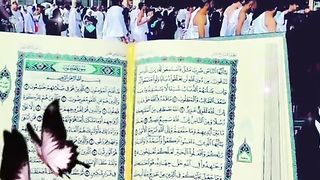 ماشاءاللّٰه ماشاءاللّٰه 5